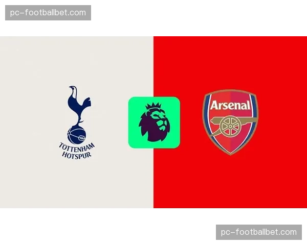 “北伦敦德比”火爆依旧：热刺vs阿森纳一役共出示8张黄牌